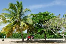 Ebenfalls zu den beliebten angeboten bei einem hurghada urlaub gehören auch ganztägige ausflüge in die etwa 450 kilometer entfernte hauptstadt kairo und ihren unzähligen. Puerto Rico Mit Kids Karibik Fur Individualisten Tui Com Reiseblog