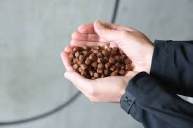All american pet proteins was formed in 2014 and is based in greeley, colorado. Demand For Insect Protein Could Hit 500 000 Tons By 2030