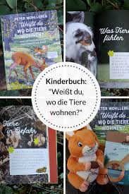 Kinderbuch Ab 6 Weisst Du Wo Die Tiere Wohnen In 2020 Kinderbucher Bucher Kinder