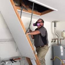 No need to disconnect satellites or antennas. Beachside Termite And Pest Control 15 Photos Pest Control Satellite Beach Fl Phone Number