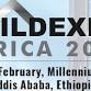 Ethiopia Buildexpo - Building Construction Trade event image