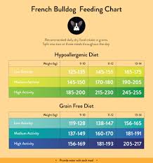 french bulldog feeding guide lovejoys