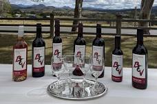 Chocolate, Cheese and Wine in the Vineyard