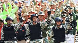 Image result for Milicia