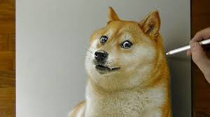 (which is why you will see 1 doge = 1 doge used frequently). Wow Doge Dog Drawing Youtube