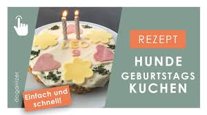 25 bis 30 minuten backen. Hundekuchen Backen Geburtstagstorte Fur Den Hund Rezept Einfach Schnell Youtube