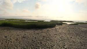Maybe you would like to learn more about one of these? Tides Are The Rise And Fall Of Sea Levels The Combined Effects Of The Gravit