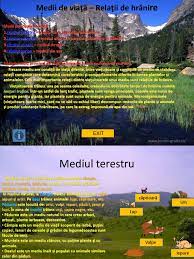 Inaltimea si greutatea copilului sunt doua. Medii De Viata Relatii De Hranire