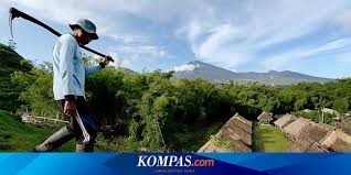 July 27, 2021 we did not find results for: Sembalun Wisata Kesejukan Di Kaki Gunung Rinjani Halaman All Kompas Com