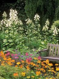 Established in 1910, ftd has been a premier provider of beautiful floral arrangements and gorgeous flower bouquets for over 100 years. 8 Exotic Plants That Take Up To A Decade Or More To Bloom This Old House