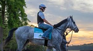 Top horses in the belmont stakes 2021: Ov4zmyvmxdbvcm