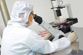 Where can a researcher earn more? Scientists In Shanghai China Make New Cancer Treatment Discovery Phnom Penh Post