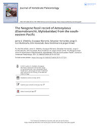 Check past service tax return. Pdf The Neogene Fossil Record Of Aetomylaeus Elasmobranchii Myliobatidae From The South Eastern Pacific