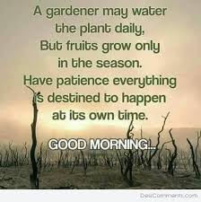 Idee Van Zakia Op Good Morning Emoties Goedemorgen Citaten
