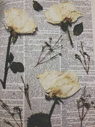 Preserve lily flowers by pressing them dry. Sleeping In Lipstick Dried Flowers Pressed Roses Book Aesthetic