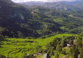 Image result for nagaland images