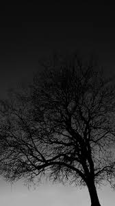 Безплатно за търговска употреба ✓ не се изисква признание на авторството ✓. Black Tree Black Tree Black Background Wallpaper Tree Wallpaper