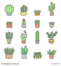 Succulents And Cacti Outline Multicolored Vector Icons Set Modern Minimalistic Dessin Cactus Dessin Plante Petit Dessin
