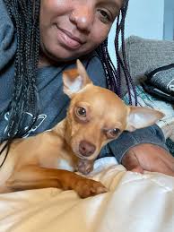 Tips for finding xxs dog clothes?