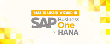 Data Transfer Wizard In Sap Business One Hana Sap Data Business