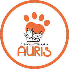 Veterinaria Auris