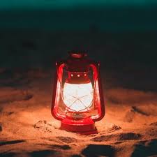 Illustrate by Bailey Spitz