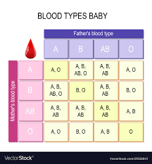 Blood Types Baby Chart