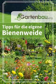 Bienenweide Bienenfreundliche Pflanzen Bienenfreundlicher Garten Garten Pflanzen