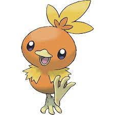 Torchic Pokemon Pokemon Logo Pokemon Emerald
