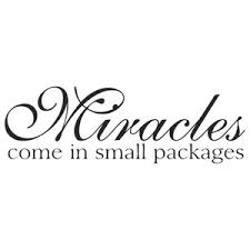 Small package quotations to inspire your inner self: Decal Vinyl Wall Sticker Miracles Come In Small Packages Quote Contemporary Wall Decals By Design With Vinyl