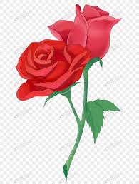 Download gambar bunga mawar merah steemkr gambar co id 17 08 2019 selain gambar yang cantik ada beberapa informasi tambahan tentang bunga mawar yang berwarna merah yang bisa. Mawar Gambar Unduh Gratis Imej 400340902 Format Png My Lovepik Com
