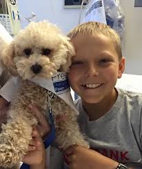 The Team Jack Foundation