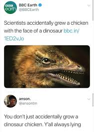 Check spelling or type a new query. 27 Pterrible Dinosaur Memes That Are Pure Dino Mite Stupid Funny Memes Funny Memes Funny Pictures