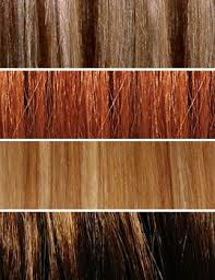 Aveda Red Hair Color Chart Sbiroregon Org