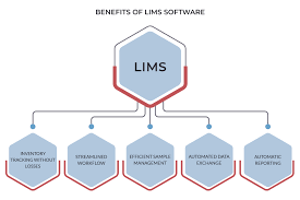 What Is Lims Importance And Benefits Of Laboratory Information System Codeit