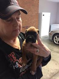 Loss of a beloved horse, Ducky, after a pasture injury