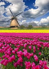 From The Colorful Flower Fields Of Amsterdam To The Jazz Festivals In New Orleans Here Is Our List Of The Best Spr Places To Travel Netherlands Tourism Nature