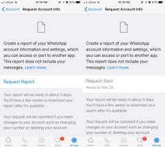 How To Download Your Whatsapp Account Information Accounting Information Accounting Download