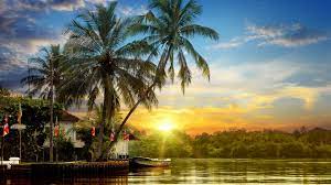 Palm Tree Sri Lanka Sky Nature Water Summertime Summer Sunset Tree Summer Woody Plant Tropics Evening In 2021 Landscape Walls Beautiful Sunrise Summer Sunset