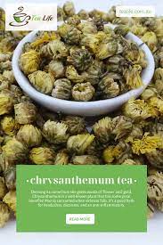 Chrysanthemum Tea Healthy Teas Recipes Tea Health Benefits Chrysanthemum Tea