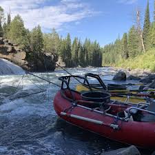 The trip of a lifetime: Eastern Idaho Fall River Fish Numbers Available Outdoors Magicvalley Com