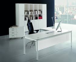 Best L Shape Desk Designs Home Inspirations