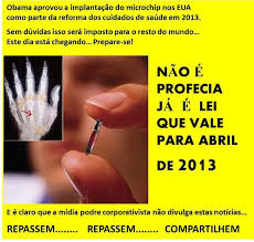 Resultado de imagem para projeto da besta