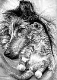 1001 Images De Dessin Realiste Et Astuces Pour Ameliorer Ses Competences Dessin De Chien Dessin Chaton Dessin Chien