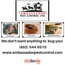 Pest control services in arizona. Ambassador Pest Control Phoenix 602 544 0515 Pest Control Pests Control