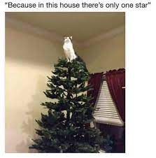 Christmas Memes Christmas Memes Funny Best Funny Pictures