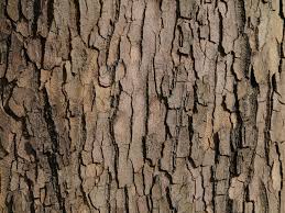 Image result for texture