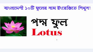 Pin On English To Banlgla Bangladeshi Flowers Name