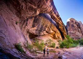 Bureau of land management phone: Recreation And Visitor Services Bureau Of Land Management