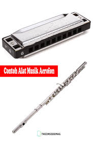 Alat Musik Pengertian Sejarah Fungsi Dan Contohnya
